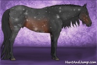 Horse Color:Brown Rabicano 