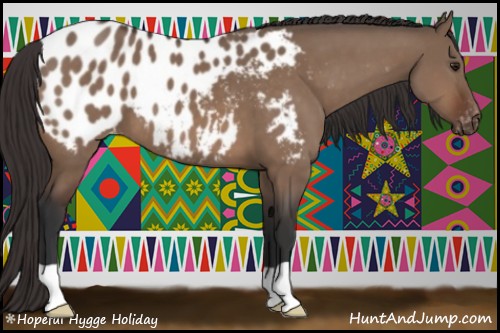 Horse Color:Brown Dun Appaloosa 