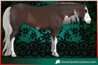 Horse Color:White Spotted Silver Brown 
