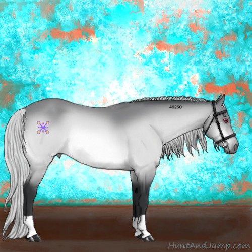 Horse Color:Silver Brown Chinchilla