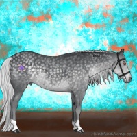 Horse Color:Silver Black Chinchilla 