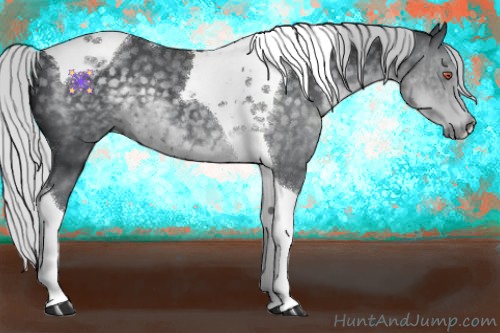 Horse Color:Silver Black Chinchilla Tobiano 