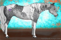 Horse Color:Silver Black Chinchilla Tobiano