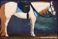 Horse Color:Buckskin Pearl Dun 