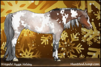 Horse Color:White Spotted Bay Appaloosa