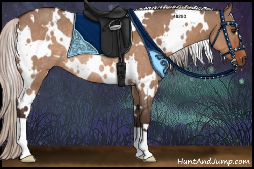 Horse Color:White Spotted Silver Brown Dun Rabicano 