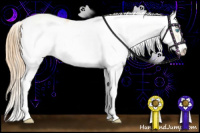 Horse Color:Buckskin Pearl Sabino 