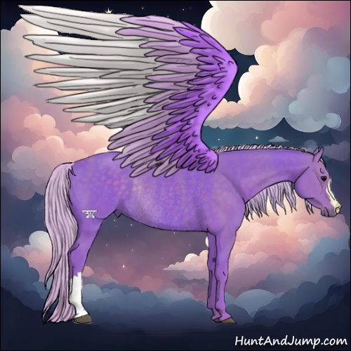 Horse Color:Watercolor Silver Black Rabicano 