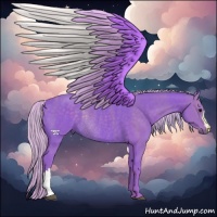Horse Color:Watercolor Silver Black Rabicano 