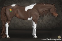 Horse Color:Liver Chestnut Tobiano 