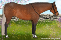Horse Color:Silver Buckskin Rabicano