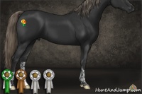 Horse Color:Liver Chestnut Mushroom Tobiano 