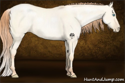 Horse Color:Amber Cream Champagne Roan Pearl Dun 