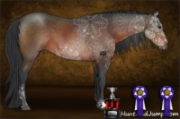 Horse Color:Brown Roan Mushroom 