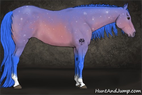 Horse Color:Watercolor Bay Tobiano 