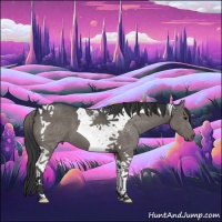 Horse Color:Black Tobiano
