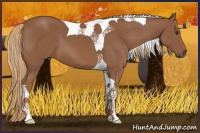 Horse Color:Chestnut Tobiano 