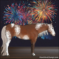 Horse Color:White Spotted Silver Brown Appaloosa