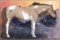 Horse Color:Blue Roan Pearl Tobiano 