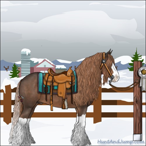 Horse Color:Liver Chestnut Splash