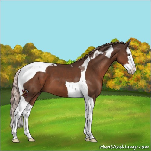 Horse Color:Liver Chestnut Sabino Splash Tobiano 