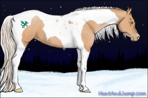 Horse Color:Silver Bay Pearl Tobiano 