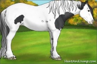 Horse Color:Black Splash Tobiano Varnish 