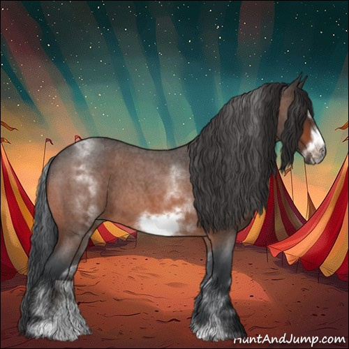 Horse Color:White Spotted Brown Roan Frame 