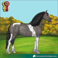 Horse Color:Grullo Tobiano Rabicano 