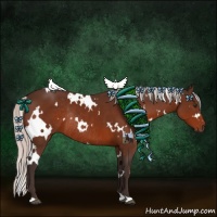 Horse Color:White Spotted Silver Brown Rabicano 