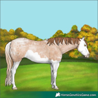 Horse Color:Bay Ice Pearl Splash 