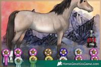Horse Color:Bay Roan Dun Rabicano