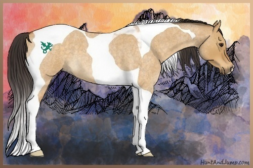 Horse Color:Buckskin Roan Dun Tobiano