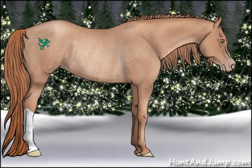 Horse Color:Gold Champagne Rabicano