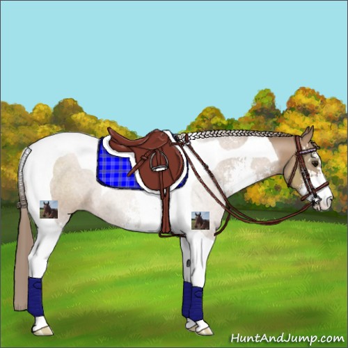 Horse Color:Black Pearl Sabino Tobiano 