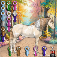 Horse Color:White Spotted Buckskin Pearl Dun 