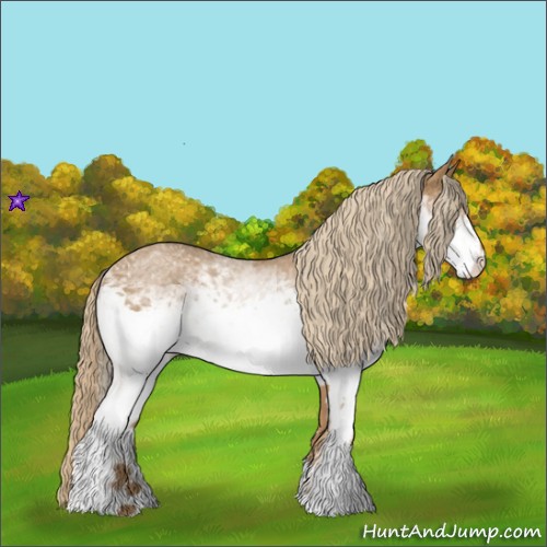 Horse Color:White Spotted Red Roan 