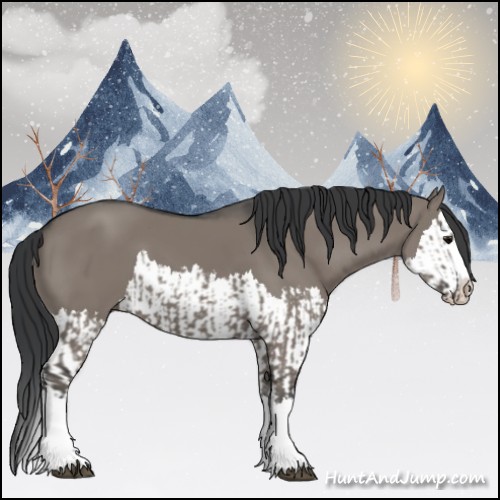 Horse Color:Grullo Sabino Splash  and Grullo Sabino Splash 