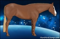 Horse Color:Chestnut Splash Frame