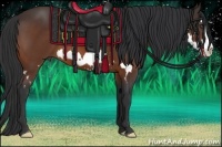 Horse Color:Bay Splash Frame 