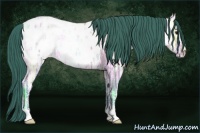 Horse Color:Watercolor Brown Ice Roan Dun Appaloosa