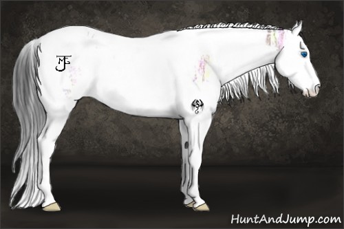 Horse Color:White Spotted Bay Ice Splash Tobiano Rabicano 