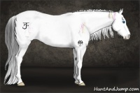 Horse Color:White Spotted Bay Ice Splash Tobiano Rabicano