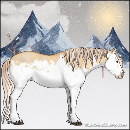 Horse Color:Palomino Dun Splash  and Palomino Roan Dun Splash 