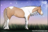 Horse Color:Bay Pearl Splash Tobiano Frame Rabicano