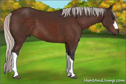 Horse Color:Silver Brown 