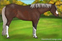 Horse Color:Silver Brown 