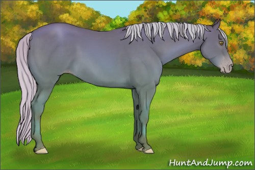 Horse Color:Silver Sable Champagne