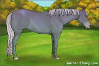 Horse Color:Silver Sable Champagne