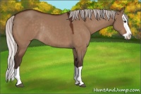 Horse Color:Silver Brown Dun Splash Rabicano 